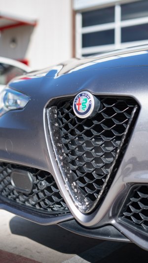 Alfa Romeo Giulia Front V Shield Grill Frame - Carbon Fiber - Forged Carbon - Feroce Carbon